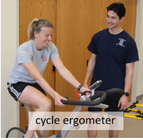 cycle ergometer
