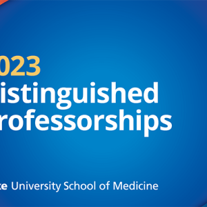 Distinguished Professorships 2023