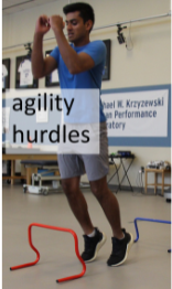 agility hurdles