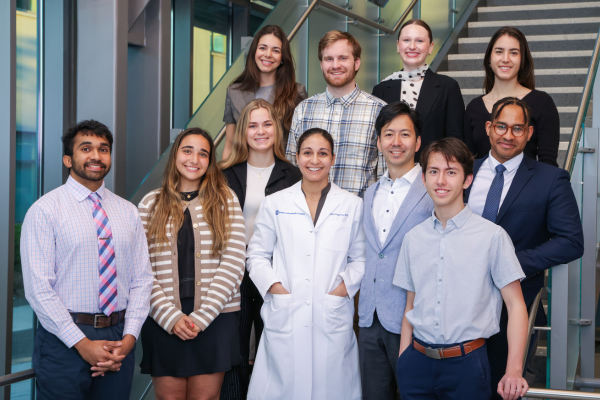 visgauss lab