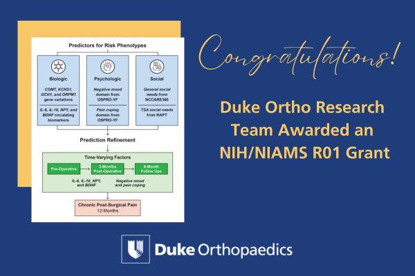 NIH Grant Steve George