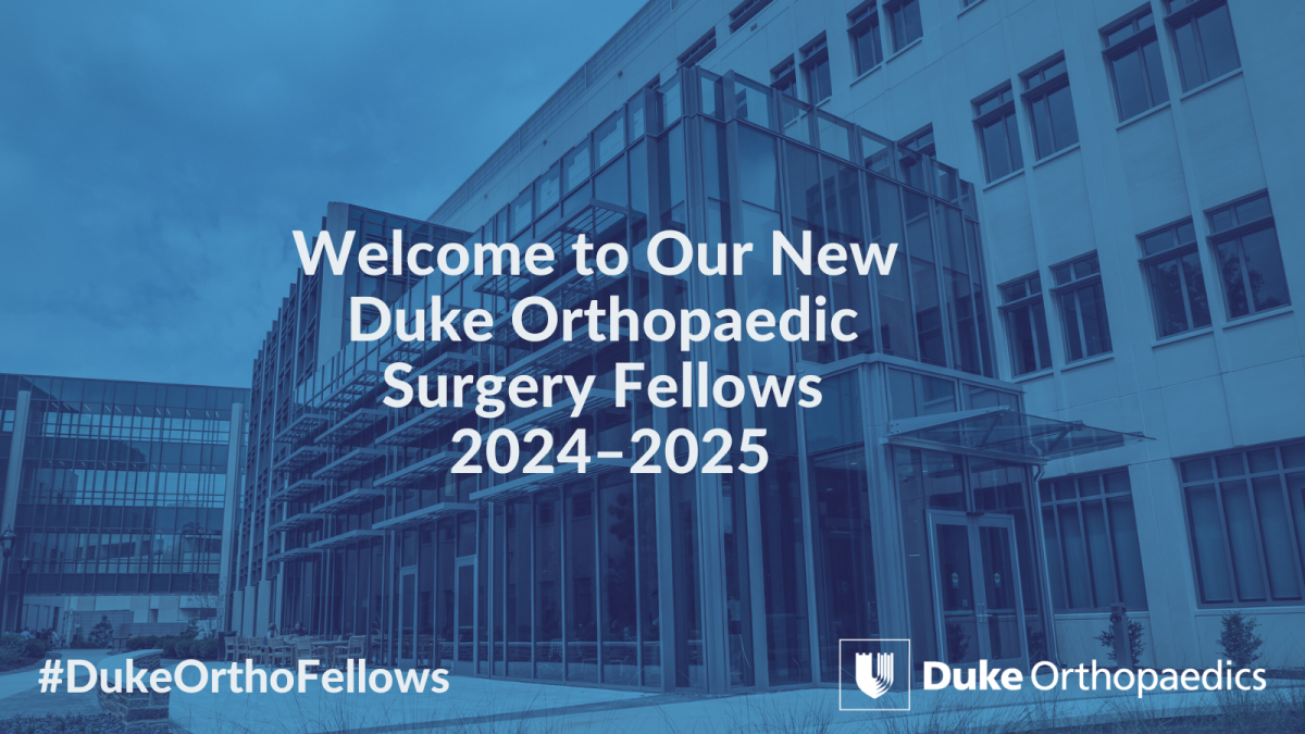 fellows 202425