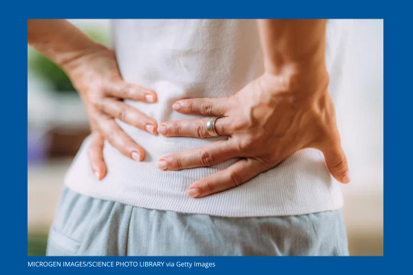 back pain study goode