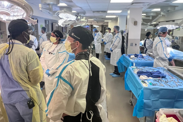 cadaver lab nerve course