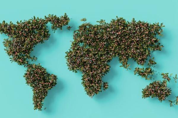 earth