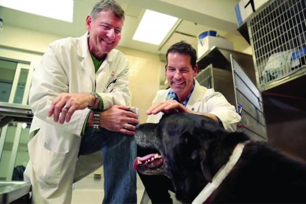 eward vet research