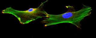 Visgauss bench cells lab hero