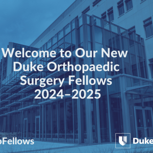 fellows 202425