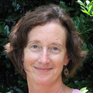 Carol Figuers, MS, PT, EdD