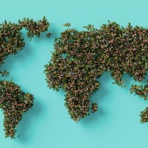earth