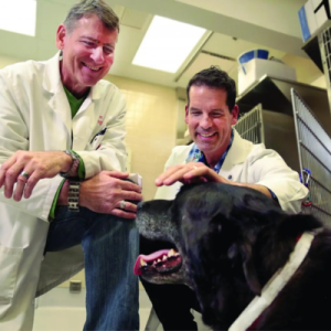 eward vet research